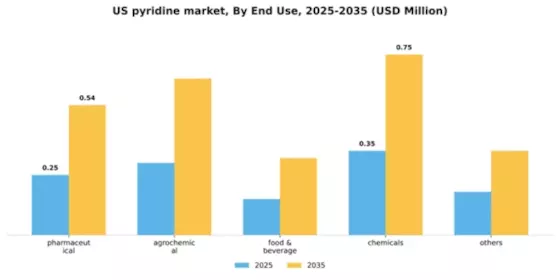 US Pyridine Market Segment Image 0