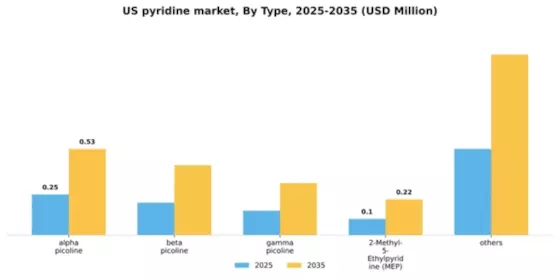 US Pyridine Market Segment Image 1