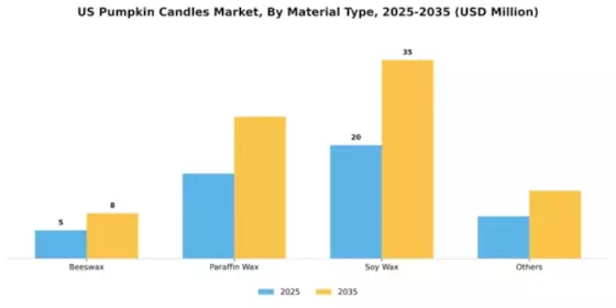 US Pumpkin Candles Market Segment Image 2