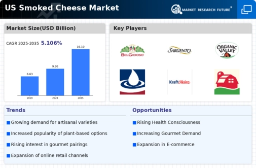 US Smoked Cheese Market Infographic
