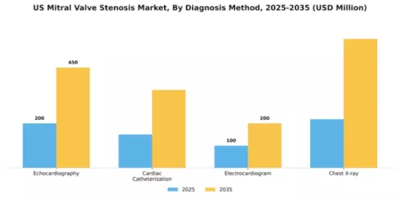 US Mitral Valve Stenosis Market Segment Image 0