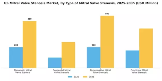 US Mitral Valve Stenosis Market Segment Image 3
