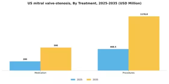 US Mitral Valve Stenosis Market Segment Image 4