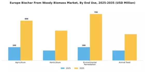 Europe Biochar from Woody Biomass Market Segment Image 1