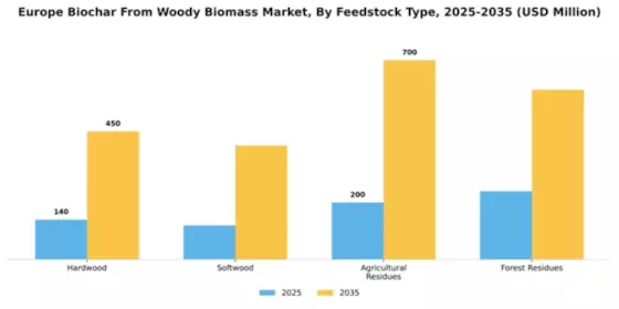 Europe Biochar from Woody Biomass Market Segment Image 2