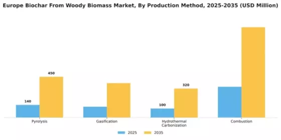Europe Biochar from Woody Biomass Market Segment Image 3
