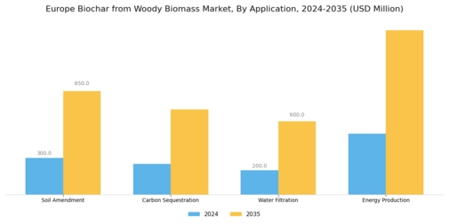 Europe Biochar from Woody Biomass Market Segment Image 0