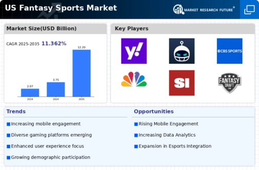 US Fantasy Sports Market Infographic