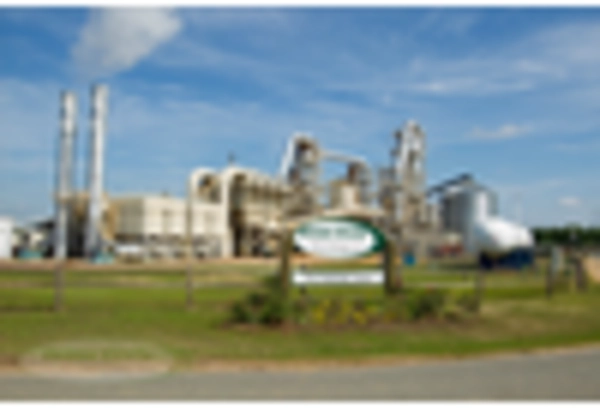 US Biomass Pellets Market key player