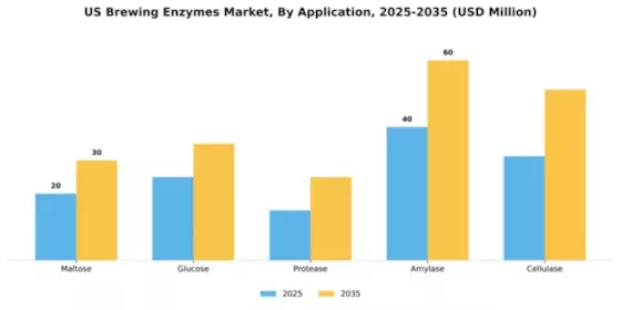US Brewing Enzymes Market Segment Image 0