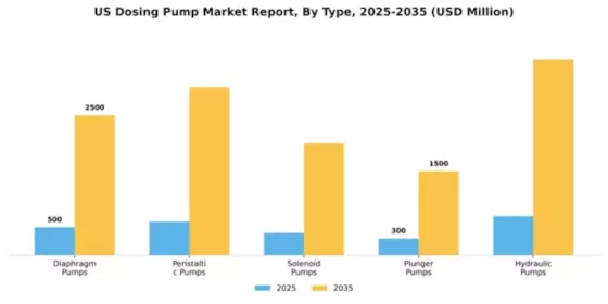 US Dosing Pump Market Segment Image 2