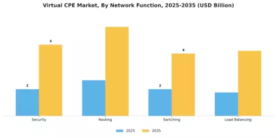 Virtual CPE Market Segment Image 2