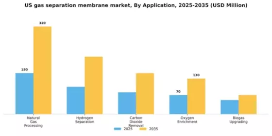 US Gas Separation Membrane Market Segment Image 0