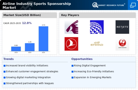 Airline Industry Sports Sponsorship Market Infographic