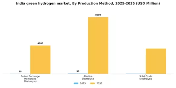 India Green Hydrogen Market Segment Image 2