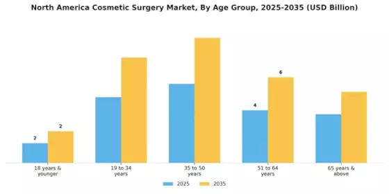 North America Cosmetic Surgery Market Segment Image 2