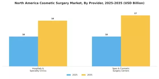 North America Cosmetic Surgery Market Segment Image 3