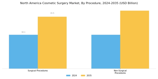 North America Cosmetic Surgery Market Segment Image 0