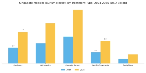 Singapore Medical Tourism Market Segment Image 0