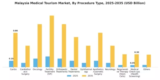 Malaysia Medical Tourism Market Segment Image 0