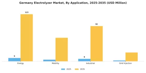 Germany Electrolyzer Market Segment Image 0