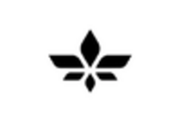 US Air Taxi Market key player