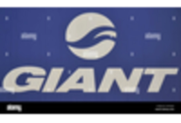 US Bicycle Saddle Market key player