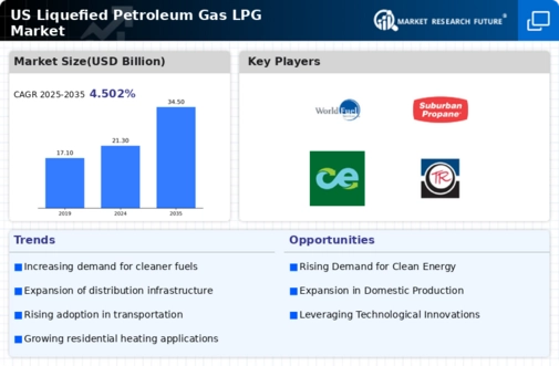 US Liquefied Petroleum Gas LPG Market Infographic