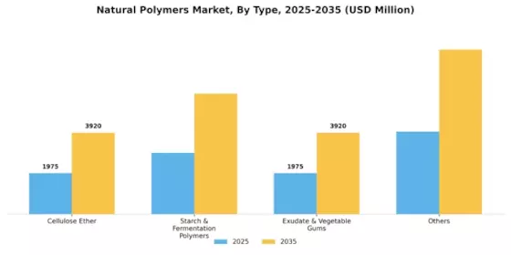 Natural Polymer Market Segment Image 1