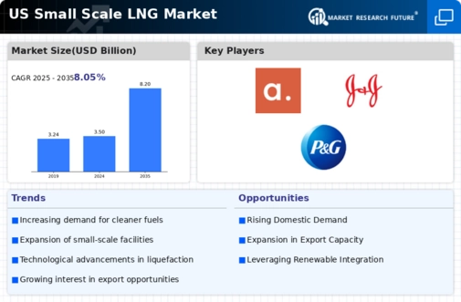 US Small Scale LNG Market Infographic