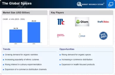 Spices Market Infographic