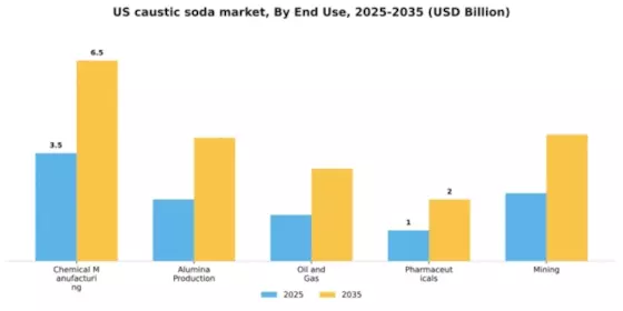 US Caustic Soda Market Segment Image 1
