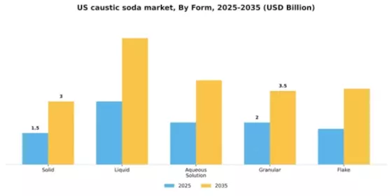 US Caustic Soda Market Segment Image 2
