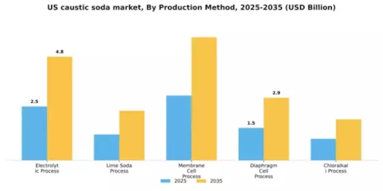 US Caustic Soda Market Segment Image 3
