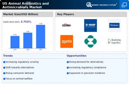 US Animal Antibiotics and Antimicrobials Market Infographic