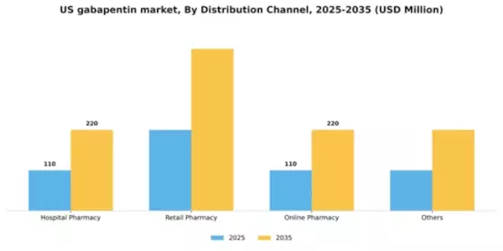US Gabapentin Market Segment Image 1