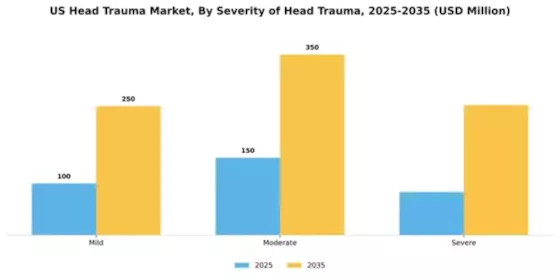 US Head Trauma Market Segment Image 1