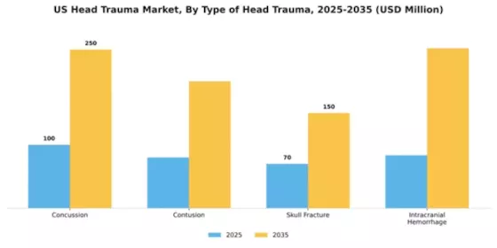 US Head Trauma Market Segment Image 3