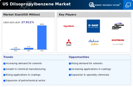 US Diisopropylbenzene Market Infographic