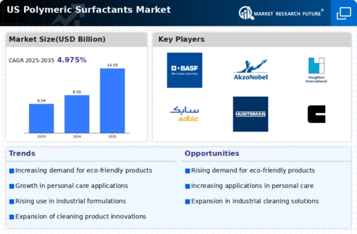 US Polymeric Surfactants Market Infographic