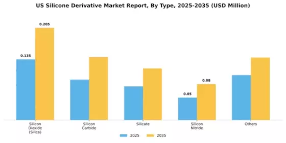 US Silicone Derivative Market Segment Image 1