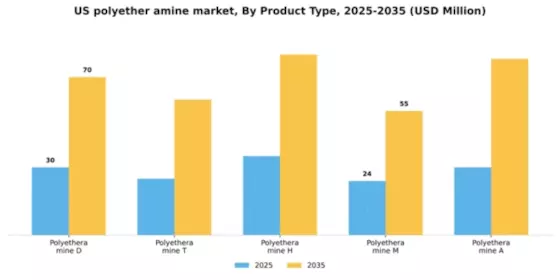 US Polyether Amine Market Segment Image 4