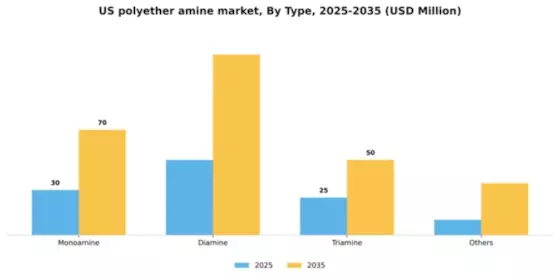 US Polyether Amine Market Segment Image 1