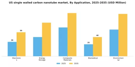 US Single Walled Carbon Nanotube Market Segment Image 0