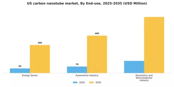 US Carbon Nanotube Market Segment Image 0