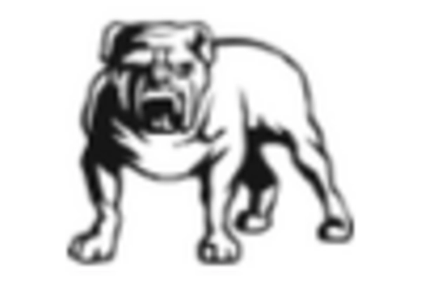 US Non Woven Abrasive Market key player