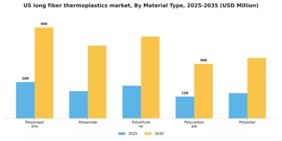 US Long Fiber Thermoplastics Market Segment Image 3