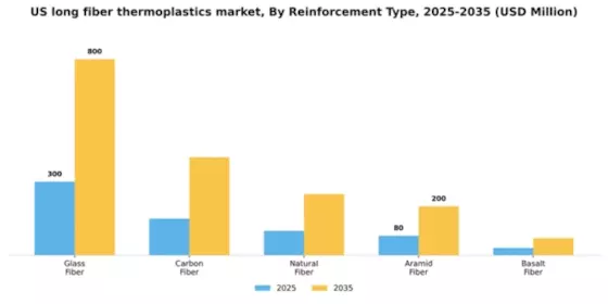 US Long Fiber Thermoplastics Market Segment Image 4
