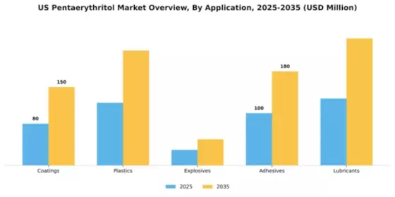 US Pentaerythritol Market Segment Image 0