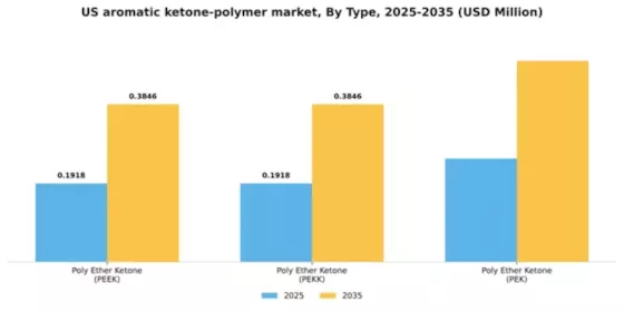 US Aromatic Ketone Polymer Market Segment Image 1